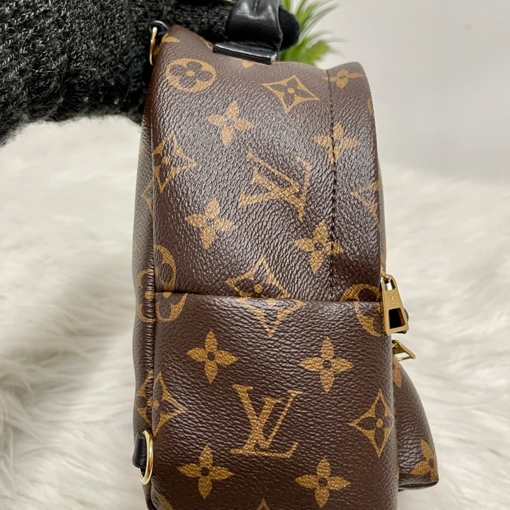 Palm Spring Mini - Picture 7 of 12